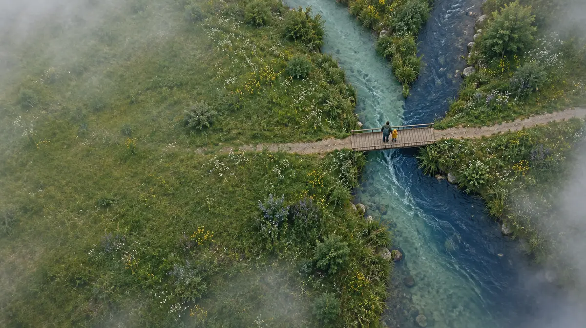 Bilinguisme de 0 à 6 ans : vue aérienne de deux ruisseaux, l’un vert sauge et l’autre bleu marine, qui se rejoignent en une seule rivière sous une passerelle où un parent et un jeune enfant regardent l’eau.