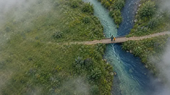 Bilinguisme de 0 à 6 ans : vue aérienne de deux ruisseaux, l’un vert sauge et l’autre bleu marine, qui se rejoignent en une seule rivière sous une passerelle où un parent et un jeune enfant regardent l’eau.